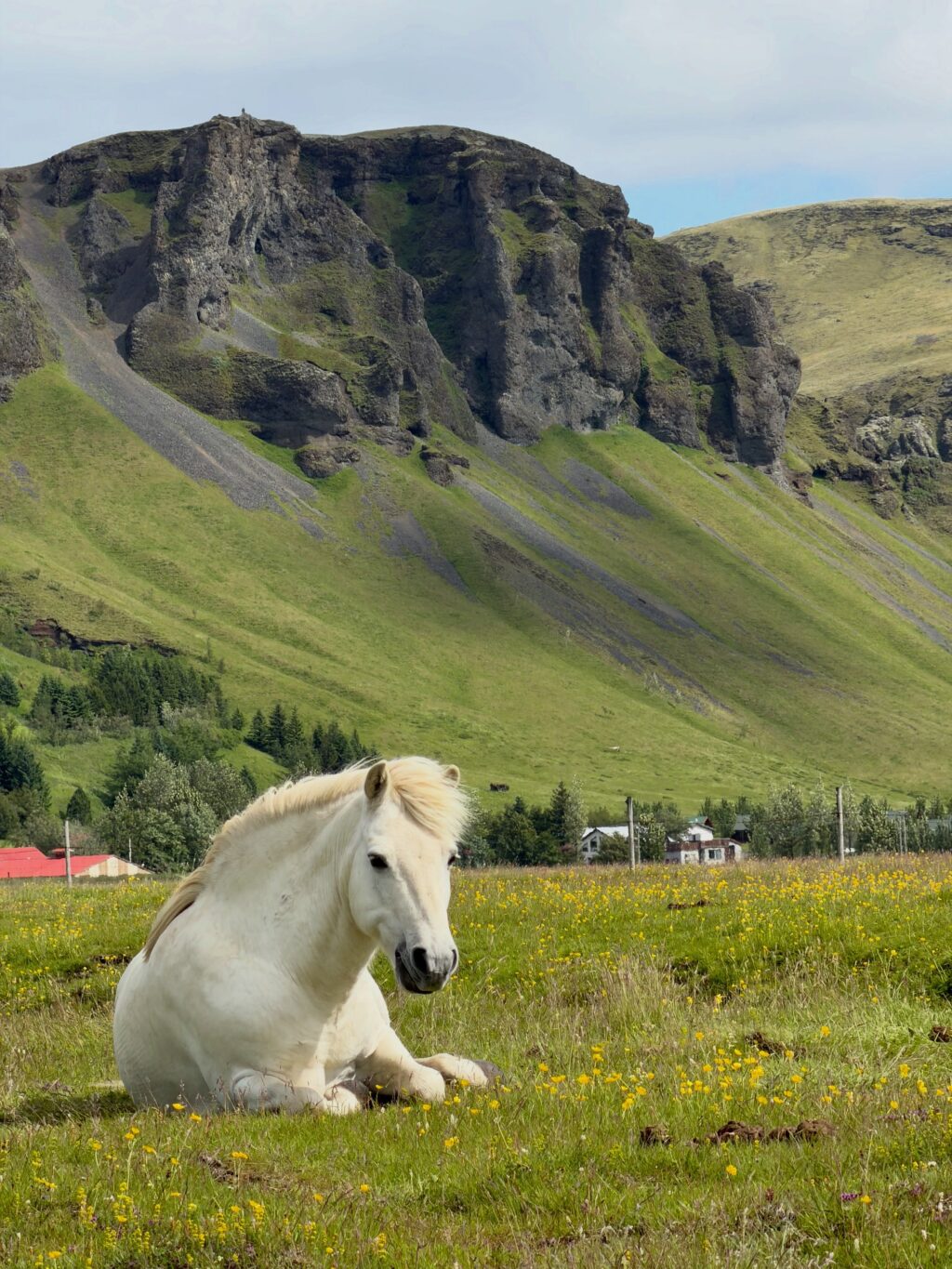 Sumarið - prt. 1
Ég var að renna yfir myndir frá sumrinu (tók að vanda sirka skrilljón) og komst að því að þrátt fyrir veður vonbrigði er þetta búið að vera gott sumar 🌸 hér koma nokkrir hápunktar:

1. Eitt af fáum sólsetrum sem við fengum fyrir vestan. Þetta skoraði hátt.

2. Ritbúðir fyrir vestan með frábæru konunum sem ég hef kynnst í gegnum rithöfunda stússið 💕

3. Lifi enn á þessum tónleikum í Royal Albert Hall. Gömlu djammararnir nutu sín í botn 🪩 

4. England og bókabúðir - kona er sátt! 🤓

5. Oxford heillaði mig meira en ég bjóst við 🤩📚💕

6. Sá loks Gígjagjá (Yoda hellirinn) 💚

7. Fallegt landslag og lúpínur gleðja alltaf 🥰 

8. Þakklát fyrir þessar og að þær nenni að skutlast með mér í ferðalög af því að ég þarf að skoða mögulegt sögusvið 🙈

9. Þessi var alveg með þetta og vissi af því 🐎

10. Yndislegur dagur á Kirkjubæjarklaustri með uppáhalds kellunum 💕

11. Kvöldkyrrð 🤗

12. Lyngrósirnar voru óvenju fallegar þetta sumarið 💜

13. Hundshornið vol. 947462188811 📸 

14. Heiðnifoss … Heiðnabergsfoss? Man ekki 🧐 

15. Mér fannst rigningin góð … en ekki í svona miklu magni ☔️

16. Og svo kom sól. Og ég tók fleiri myndir af fjöllunum 📸

17. Við tvö í dalnum = 💯💚

18. Óli bró tók þátt í Vesturgötunni. Við systur erum betri á hliðarlínunni 👏🏻 

19. Keldudals spesíal = Kakósúpa m. rjóma og tvíbökum og eitt stykki nostalgía 🥰

20. Allar rabarbarakökurnar sem ég borðaði í sumar! Og sultan. Og sýrópið 😋 Rabarbari rokkar 🤘 

#svonavarsumarið 
#photodump📸❤️