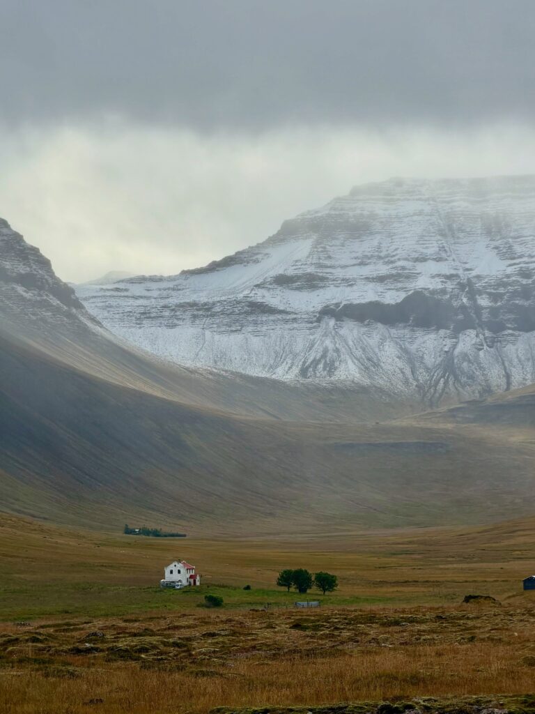 Var ég búin að segja ykkur frá fjöllunum mínum? Eða dalnum? Nú jæja, þá verðið þið bara að þola enn eina myndaseríu frá uppáhalds staðnum mínum 🥰 Það er allt önnur stemming að vera þarna að hausti og alls ekki síðri. Dramatíkin í snjókysstum hömrum á móti roðnandi lyngi…og kyrrðin nú þegar farfuglarnir eru farnir (sakna þeirra samt). Hljóðheimurinn samanstóð af sjávarnið, hrafnagargi og einstaka jarmi. Jú og skrækirnir í skógarþröstunum sem eru að missa sig í reyniberjunum.

Yndisleg helgi sem hefði mátt vera lengri en dugði samt til að fylla aðeins á birgðirnar fyrir veturinn…af berjum og andlegri ró 🥰

Hér hefði kannski dugað að skrifa: Óður til dals … en ég á það til að vera langorð 😉