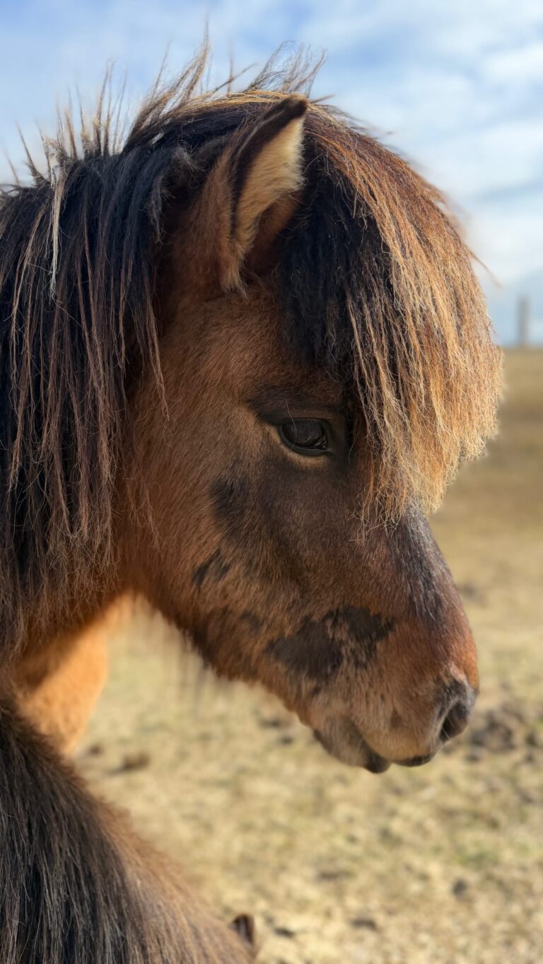 Lífið undanfarið 🥰

#bookstagram 
#rithöfundalífið 
#bókagramm 
#lífiðernúna 
#aprilmoments