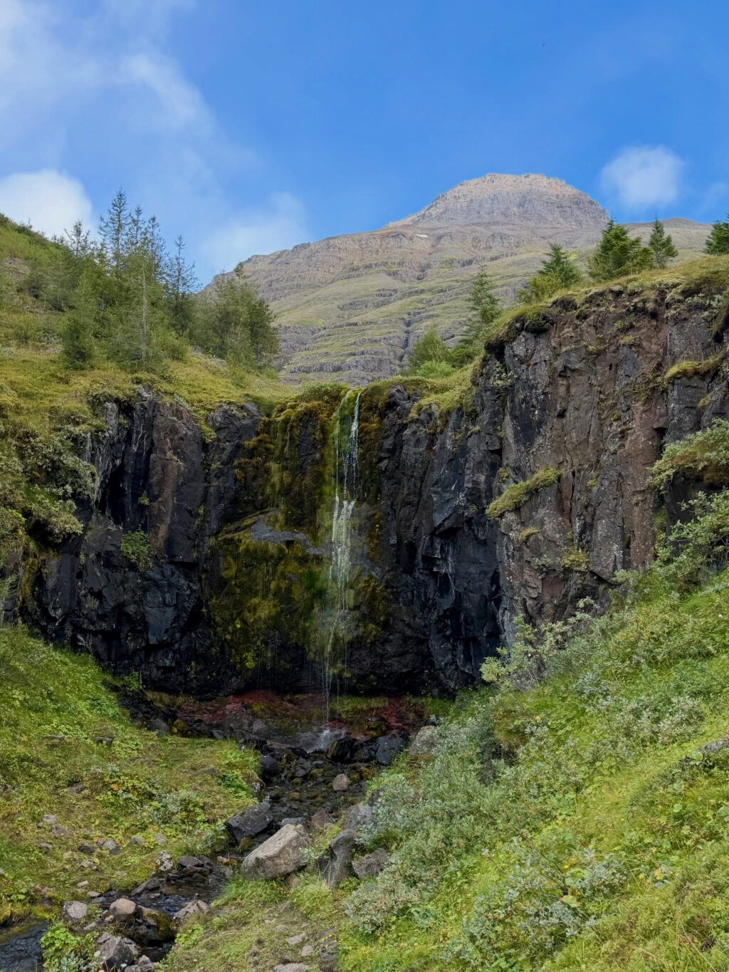 Vikuferð í Mjóafjörð í frábærum félagsskap þar sem við nærðum andann, borðuðum góðan mat, nutum fallegrar náttúru og huguðum að næstu bókum. Jú og svo vorum við með upplestur í Sólbrekku eftir messu og messukaffi í Mjóafjarðarkirkju. Þar lásum við upp úr bókunum okkar sem fara að detta í hillurnar hvað úr hverju 🤓 

Mæli með að þið fylgist með skáldkonunum @asamarinwriter og @bennyisleifs 💕