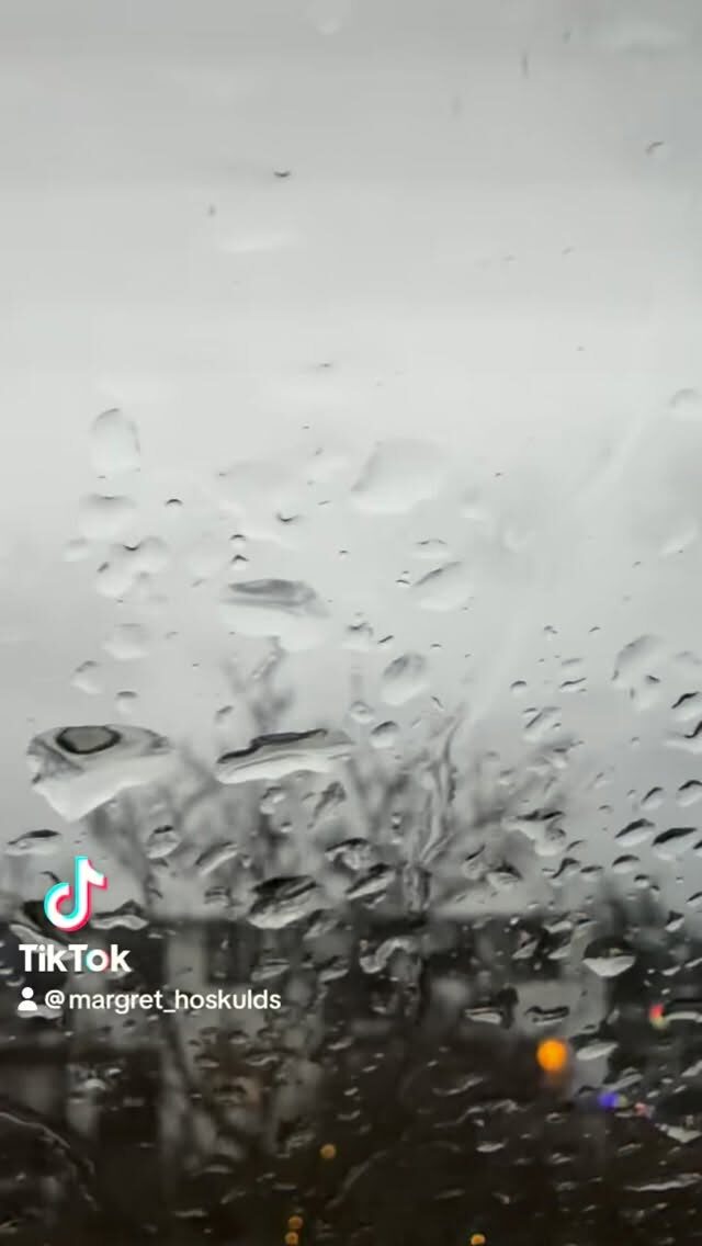 Mín tillaga að afþreyingu á blautum og köldum degi 🤓

Ef þú elskar krimma með draugalegu ívafi - þá er þessi fyrir þig 📚

#bookstagram 
#bækurerubestar 
#mynovel 
#bækur 
#bókagramm