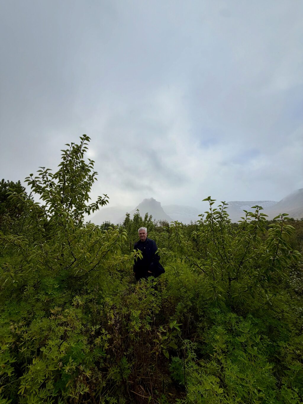 Var ég búin að segja ykkur frá fjöllunum mínum? Eða dalnum? Nú jæja, þá verðið þið bara að þola enn eina myndaseríu frá uppáhalds staðnum mínum 🥰 Það er allt önnur stemming að vera þarna að hausti og alls ekki síðri. Dramatíkin í snjókysstum hömrum á móti roðnandi lyngi…og kyrrðin nú þegar farfuglarnir eru farnir (sakna þeirra samt). Hljóðheimurinn samanstóð af sjávarnið, hrafnagargi og einstaka jarmi. Jú og skrækirnir í skógarþröstunum sem eru að missa sig í reyniberjunum.

Yndisleg helgi sem hefði mátt vera lengri en dugði samt til að fylla aðeins á birgðirnar fyrir veturinn…af berjum og andlegri ró 🥰

Hér hefði kannski dugað að skrifa: Óður til dals … en ég á það til að vera langorð 😉