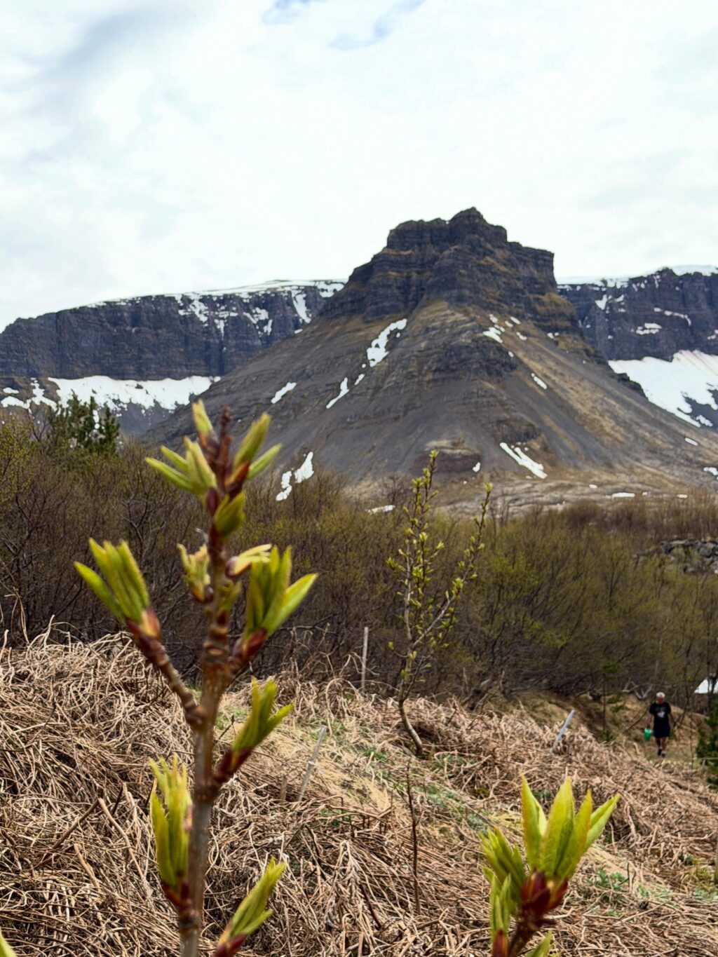 Dalurinn tók vel á móti okkur í þessari fyrstu ferð sumarsins. Gróðurinn aðeins seinni til en á sama tíma og í fyrra en veðrið var dásamlegt. Alltaf gott að komast vestur, klappa trjám, hlusta à fuglana og sjóinn. Og anda ☺️

#vestfirðir 
#keldudalur 
#weekendgetaway☀️