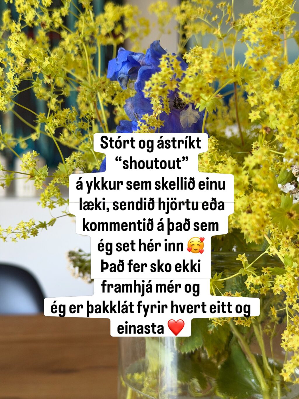 Þakklát fyrir að þið nennið að fylgjast með, hvort sem það er þegar ég röfla um hundinn, veðrið, fjölskylduna, Vestfirði … aðra firði eða um bækur og bókaskrif ❤️

Og hvað er íslenskt orð yfir shoutout 🥴