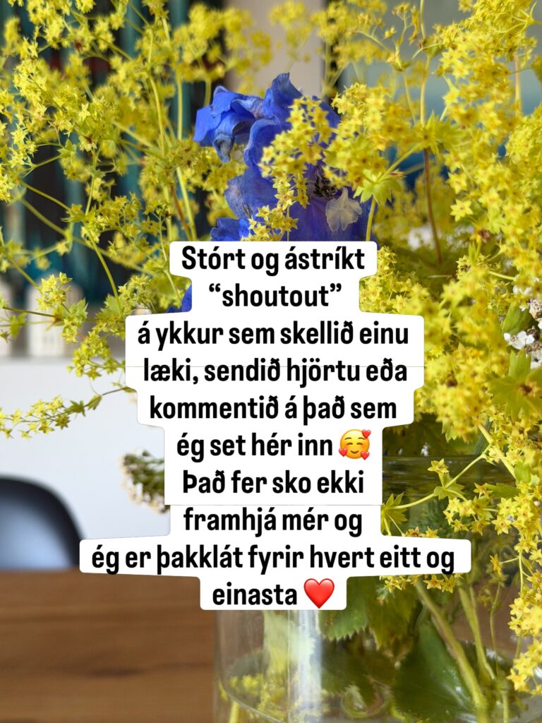 Þakklát fyrir að þið nennið að fylgjast með, hvort sem það er þegar ég röfla um hundinn, veðrið, fjölskylduna, Vestfirði … aðra firði eða um bækur og bókaskrif ❤️

Og hvað er íslenskt orð yfir shoutout 🥴