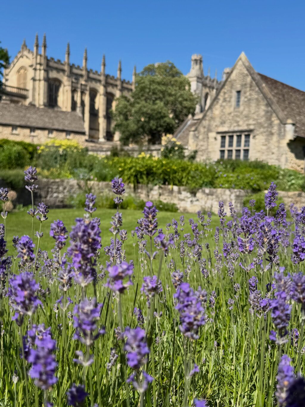 Oxford á skilið smá myndaspamm 🥰 fórum í dagsferð til Oxford frá London. Oxford heillaði okkur enda margt að sjá og gera. Mæli með dagsferð þangað, tekur ekki nema rétt um klukkutíma frá Paddington lestarstöðinni.