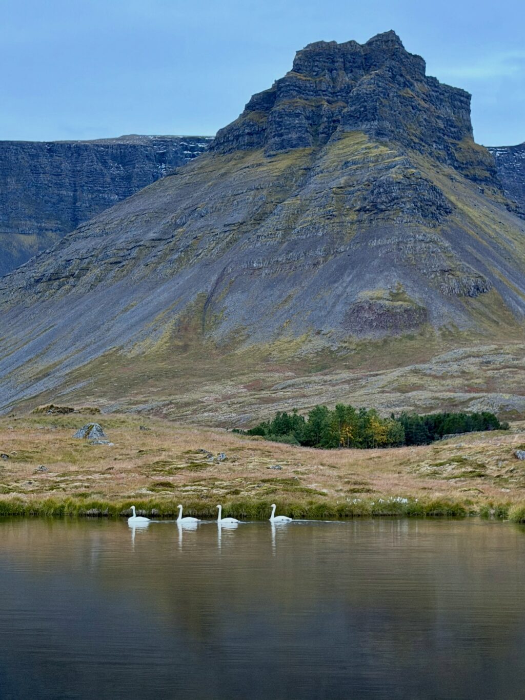 Var ég búin að segja ykkur frá fjöllunum mínum? Eða dalnum? Nú jæja, þá verðið þið bara að þola enn eina myndaseríu frá uppáhalds staðnum mínum 🥰 Það er allt önnur stemming að vera þarna að hausti og alls ekki síðri. Dramatíkin í snjókysstum hömrum á móti roðnandi lyngi…og kyrrðin nú þegar farfuglarnir eru farnir (sakna þeirra samt). Hljóðheimurinn samanstóð af sjávarnið, hrafnagargi og einstaka jarmi. Jú og skrækirnir í skógarþröstunum sem eru að missa sig í reyniberjunum.

Yndisleg helgi sem hefði mátt vera lengri en dugði samt til að fylla aðeins á birgðirnar fyrir veturinn…af berjum og andlegri ró 🥰

Hér hefði kannski dugað að skrifa: Óður til dals … en ég á það til að vera langorð 😉