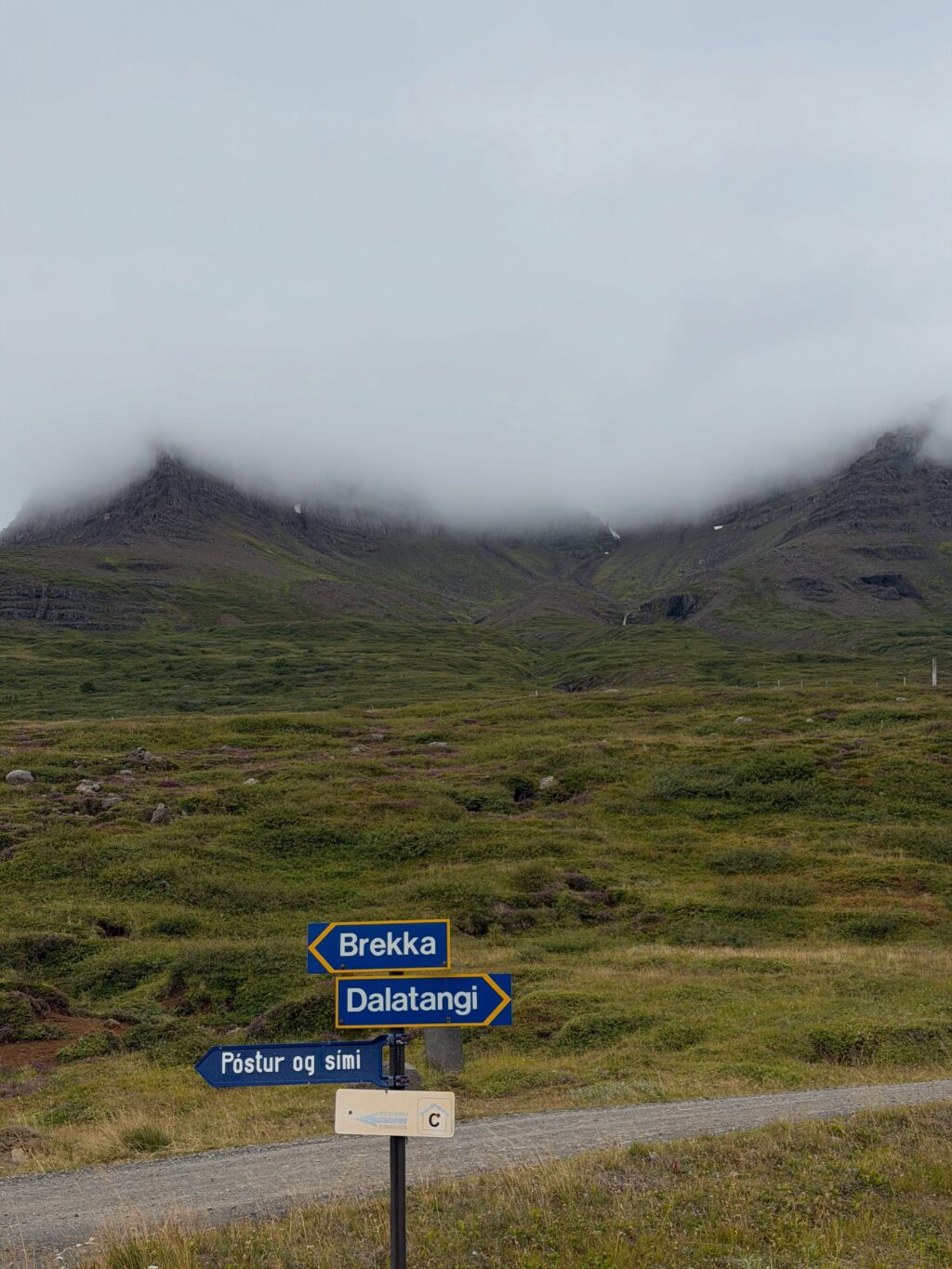 Vikuferð í Mjóafjörð í frábærum félagsskap þar sem við nærðum andann, borðuðum góðan mat, nutum fallegrar náttúru og huguðum að næstu bókum. Jú og svo vorum við með upplestur í Sólbrekku eftir messu og messukaffi í Mjóafjarðarkirkju. Þar lásum við upp úr bókunum okkar sem fara að detta í hillurnar hvað úr hverju 🤓 

Mæli með að þið fylgist með skáldkonunum @asamarinwriter og @bennyisleifs 💕