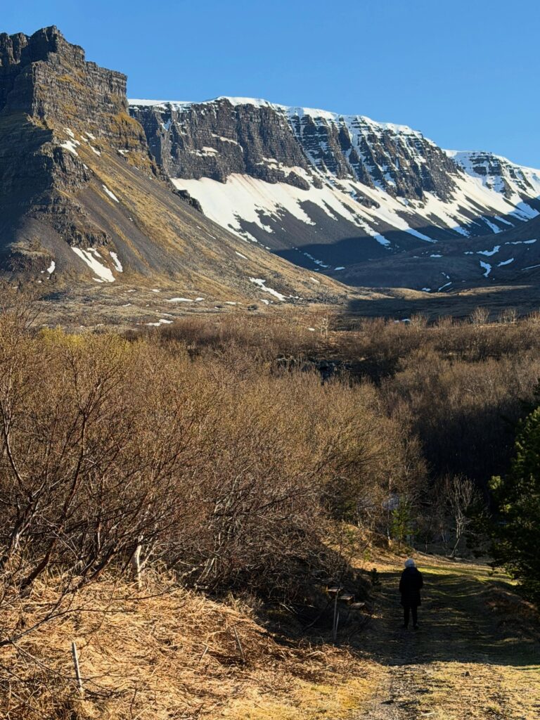 Dalurinn tók vel á móti okkur í þessari fyrstu ferð sumarsins. Gróðurinn aðeins seinni til en á sama tíma og í fyrra en veðrið var dásamlegt. Alltaf gott að komast vestur, klappa trjám, hlusta à fuglana og sjóinn. Og anda ☺️

#vestfirðir 
#keldudalur 
#weekendgetaway☀️
