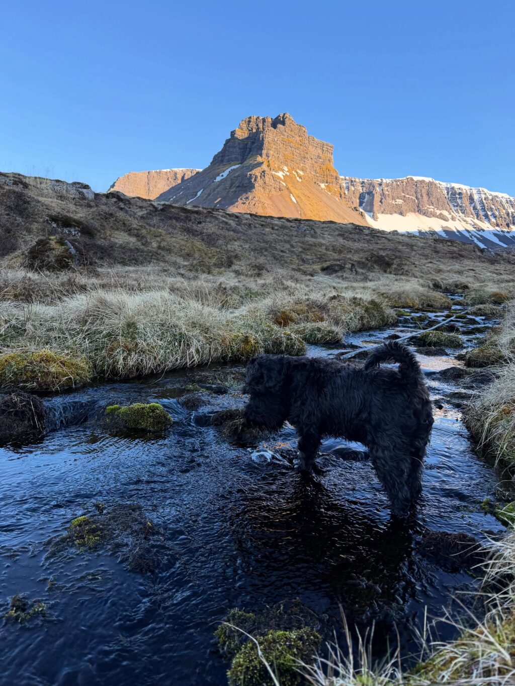 Dalurinn tók vel á móti okkur í þessari fyrstu ferð sumarsins. Gróðurinn aðeins seinni til en á sama tíma og í fyrra en veðrið var dásamlegt. Alltaf gott að komast vestur, klappa trjám, hlusta à fuglana og sjóinn. Og anda ☺️

#vestfirðir 
#keldudalur 
#weekendgetaway☀️