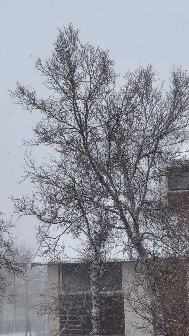 Þetta kemur allt … er það ekki? Um að gera að reyna að hafa það sem huggulegast inni. Blóm og te hjálpa. Súkkulaði er samt sennilega málið 🍫

#bookstagram 
#rithöfundalífið 
#bækurerubestar 
#authorlife 
#bókagramm