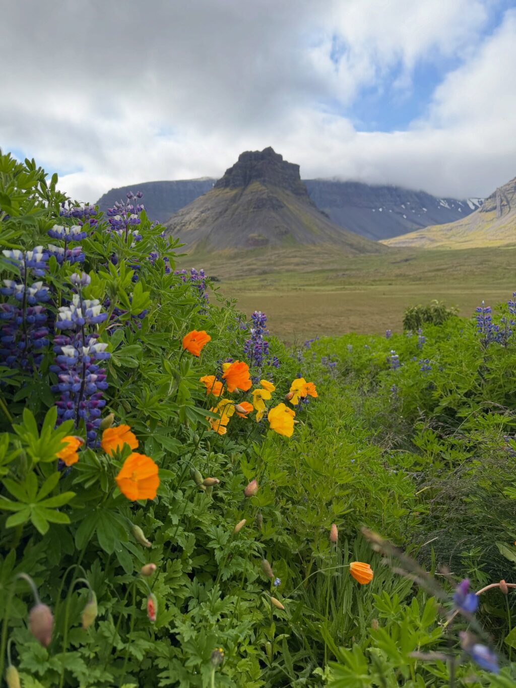 Sumarið - prt. 1
Ég var að renna yfir myndir frá sumrinu (tók að vanda sirka skrilljón) og komst að því að þrátt fyrir veður vonbrigði er þetta búið að vera gott sumar 🌸 hér koma nokkrir hápunktar:

1. Eitt af fáum sólsetrum sem við fengum fyrir vestan. Þetta skoraði hátt.

2. Ritbúðir fyrir vestan með frábæru konunum sem ég hef kynnst í gegnum rithöfunda stússið 💕

3. Lifi enn á þessum tónleikum í Royal Albert Hall. Gömlu djammararnir nutu sín í botn 🪩 

4. England og bókabúðir - kona er sátt! 🤓

5. Oxford heillaði mig meira en ég bjóst við 🤩📚💕

6. Sá loks Gígjagjá (Yoda hellirinn) 💚

7. Fallegt landslag og lúpínur gleðja alltaf 🥰 

8. Þakklát fyrir þessar og að þær nenni að skutlast með mér í ferðalög af því að ég þarf að skoða mögulegt sögusvið 🙈

9. Þessi var alveg með þetta og vissi af því 🐎

10. Yndislegur dagur á Kirkjubæjarklaustri með uppáhalds kellunum 💕

11. Kvöldkyrrð 🤗

12. Lyngrósirnar voru óvenju fallegar þetta sumarið 💜

13. Hundshornið vol. 947462188811 📸 

14. Heiðnifoss … Heiðnabergsfoss? Man ekki 🧐 

15. Mér fannst rigningin góð … en ekki í svona miklu magni ☔️

16. Og svo kom sól. Og ég tók fleiri myndir af fjöllunum 📸

17. Við tvö í dalnum = 💯💚

18. Óli bró tók þátt í Vesturgötunni. Við systur erum betri á hliðarlínunni 👏🏻 

19. Keldudals spesíal = Kakósúpa m. rjóma og tvíbökum og eitt stykki nostalgía 🥰

20. Allar rabarbarakökurnar sem ég borðaði í sumar! Og sultan. Og sýrópið 😋 Rabarbari rokkar 🤘 

#svonavarsumarið 
#photodump📸❤️