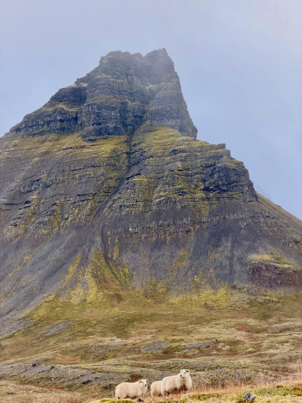 Var ég búin að segja ykkur frá fjöllunum mínum? Eða dalnum? Nú jæja, þá verðið þið bara að þola enn eina myndaseríu frá uppáhalds staðnum mínum 🥰 Það er allt önnur stemming að vera þarna að hausti og alls ekki síðri. Dramatíkin í snjókysstum hömrum á móti roðnandi lyngi…og kyrrðin nú þegar farfuglarnir eru farnir (sakna þeirra samt). Hljóðheimurinn samanstóð af sjávarnið, hrafnagargi og einstaka jarmi. Jú og skrækirnir í skógarþröstunum sem eru að missa sig í reyniberjunum.

Yndisleg helgi sem hefði mátt vera lengri en dugði samt til að fylla aðeins á birgðirnar fyrir veturinn…af berjum og andlegri ró 🥰

Hér hefði kannski dugað að skrifa: Óður til dals … en ég á það til að vera langorð 😉